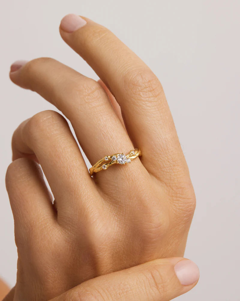 18k Gold Vermeil No Rain, No Flowers Ring