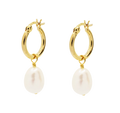 SMALL GOLD PEARL HOOPS