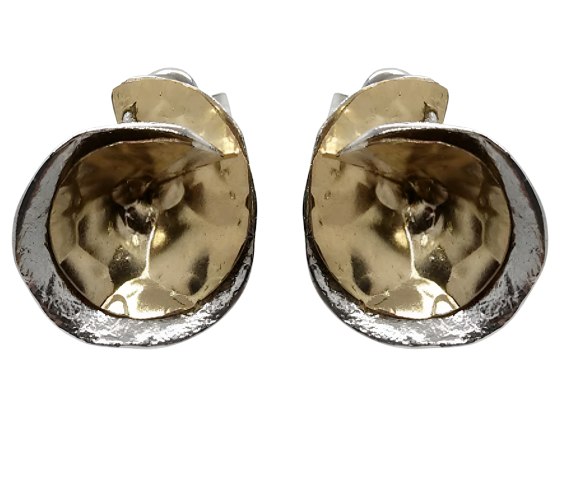 CONE EARRINGS WITH GOLD FILLED CENTRE