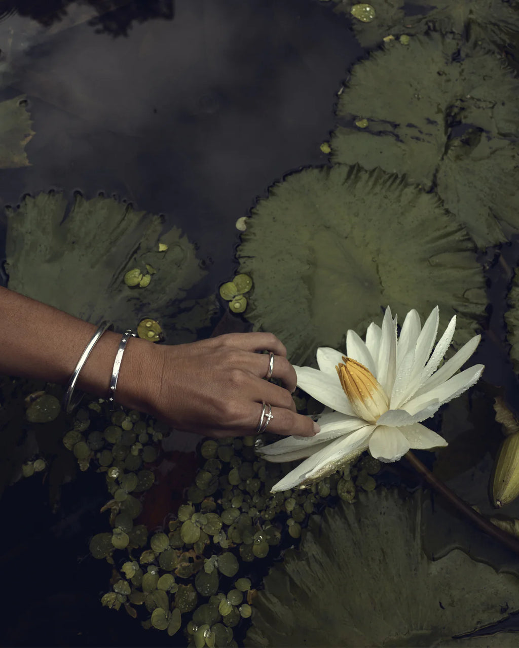 Sterling Silver Live in Love Bangle