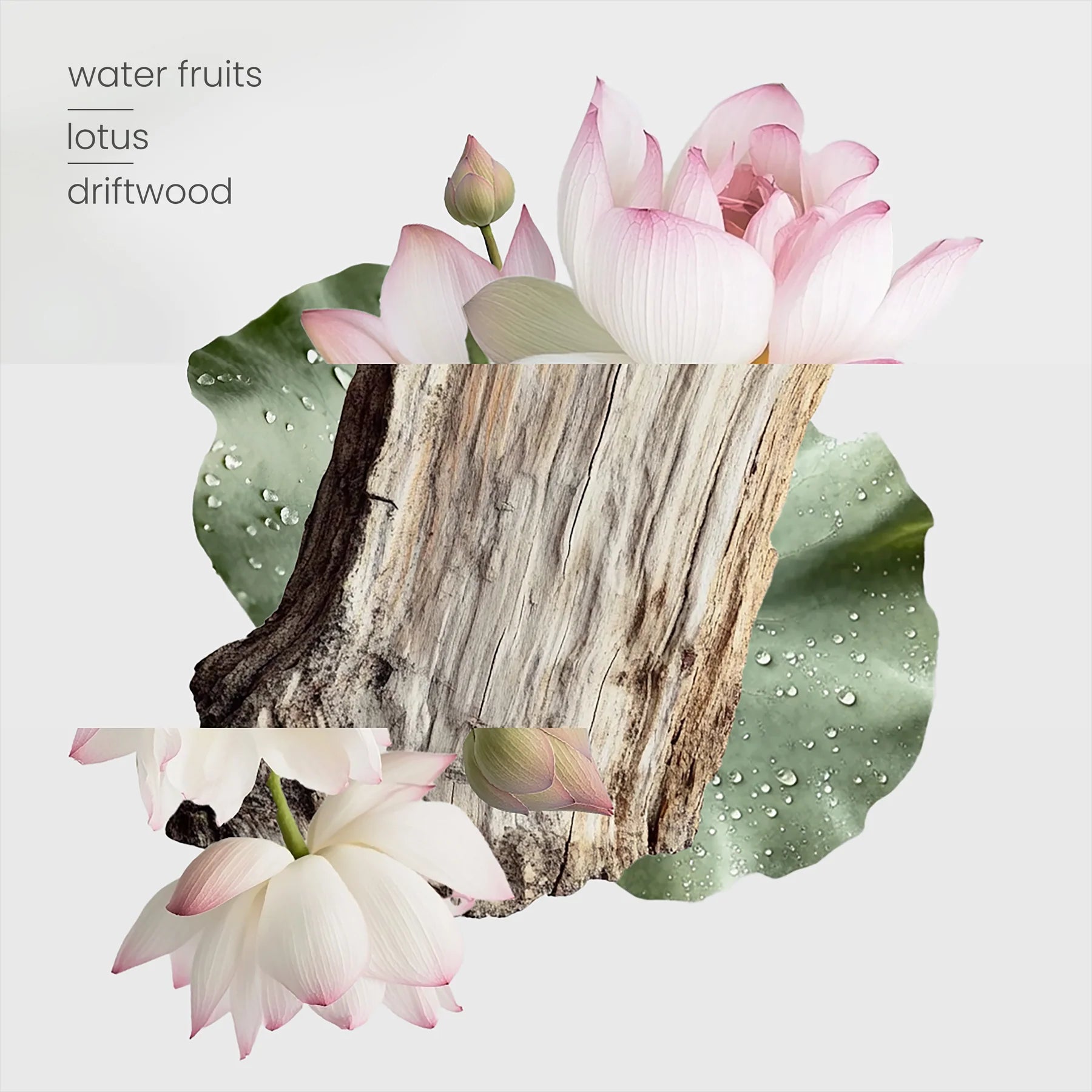 Zen Garden Candle (220g)