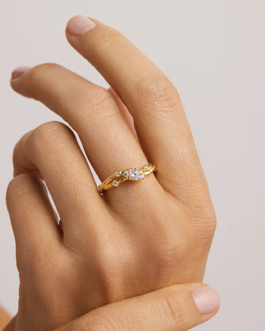 18k Gold Vermeil No Rain, No Flowers Ring