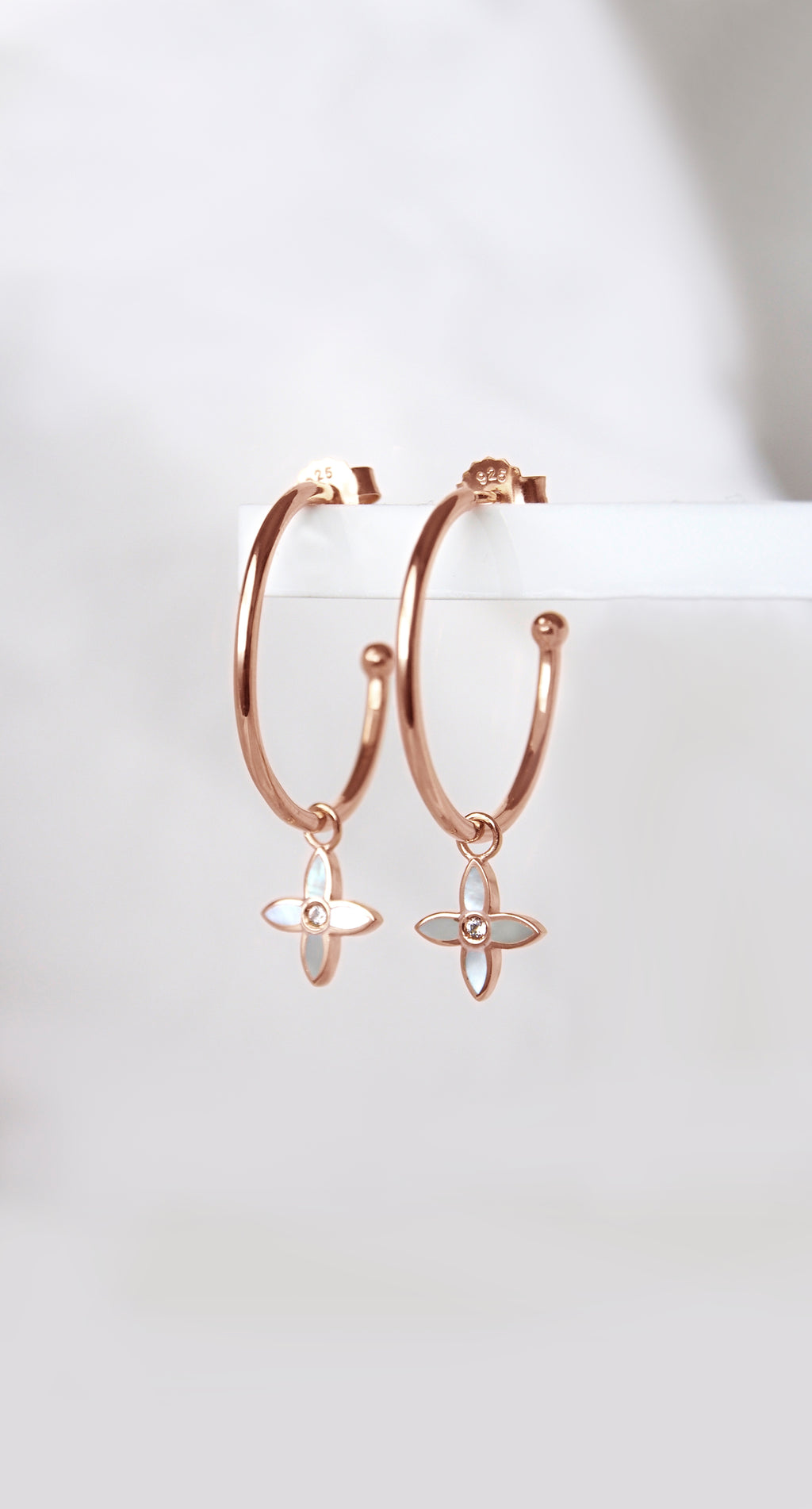 DESERT FLOWER FLORAL HOOPS