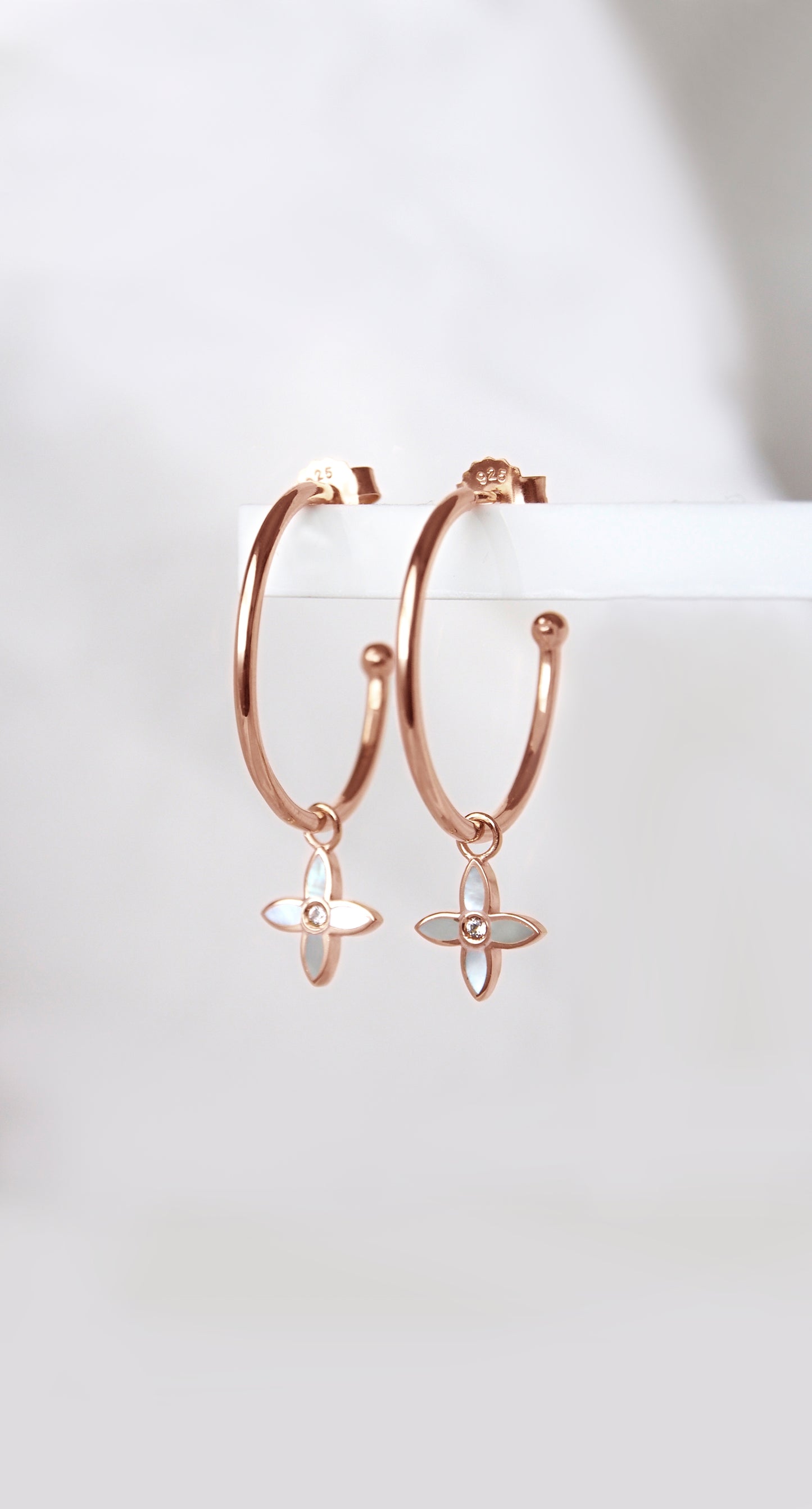 DESERT FLOWER FLORAL HOOPS